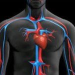 trastornos cardiacos